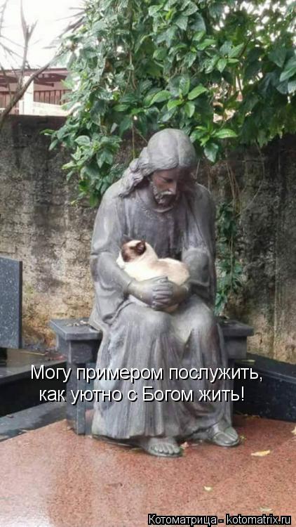 Могу примером послужить, как уютно с Богом жить!... Котоматрица: Могу примером послужить, как уютно с Богом жить!