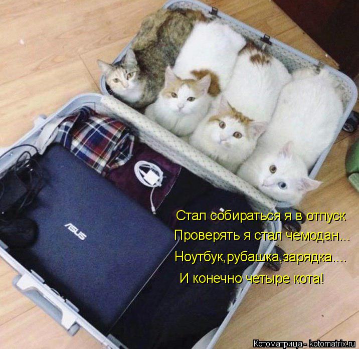 Стал собираться я в отпуск Проверять я стал чемодан... Ноутбук,рубашка,зарядка.... И конечно четыре к... Котоматрица: Стал собираться я в отпуск Проверять я стал чемодан... Ноутбук,рубашка,зарядка.... И конечно четыре кота!