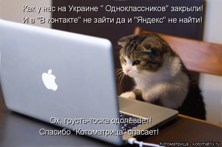 Как у нас на Украине " Одноклассников" закрыли! И в "В контакте" не зайти да и "Яндекс" не найти! Ох,... Котоматрица: Как у нас на Украине " Одноклассников" закрыли! И в "В контакте" не зайти да и "Яндекс" не найти! Ох, грусть-тоска одолевает! Спасибо "Котоматриц