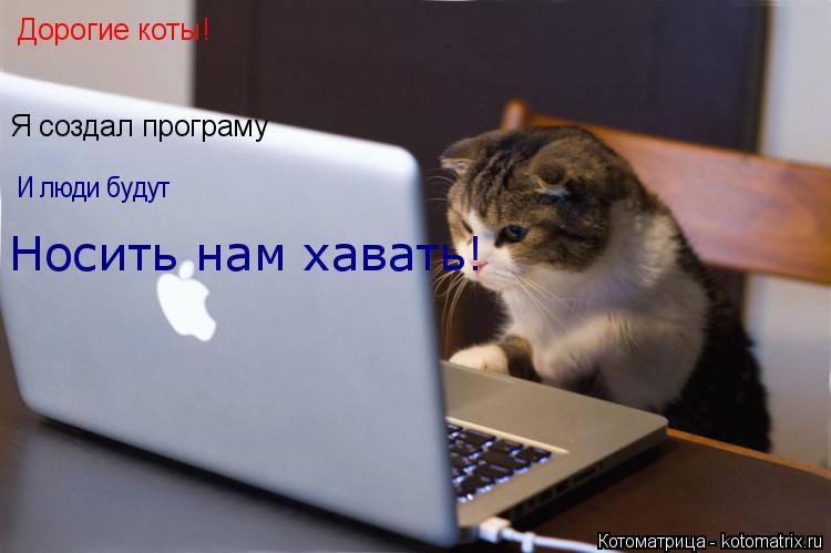 Котоматрица: Дорогие коты! Я создал програму И люди будут Носить нам хавать!