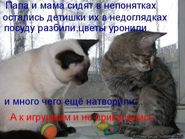 Папа и мама сидят в непонятках остались детишки их в недоглядках посуду разбили,цветы уронили и много... Котоматрица: Папа и мама сидят в непонятках остались детишки их в недоглядках посуду разбили,цветы уронили и много чего ещё натворили... А к игрушкам и не