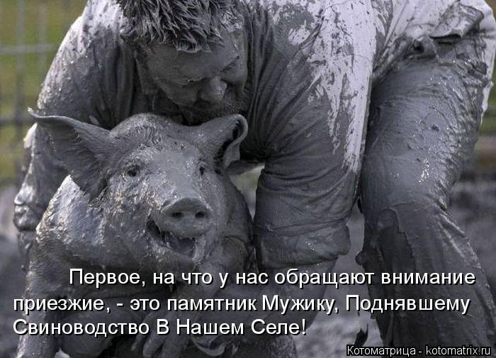 Первое, на что у нас обращают внимание приезжие, - это памятник Мужику, Поднявшему Свиноводство В Н... Котоматрица: Первое, на что у нас обращают внимание приезжие, - это памятник Мужику, Поднявшему Свиноводство В Нашем Селе!