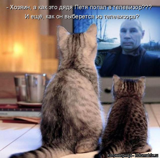 - Хозяин, а как это дядя Петя попал в телевизор??? И ещё, как он выберется из телевизора?... Котоматрица: - Хозяин, а как это дядя Петя попал в телевизор??? И ещё, как он выберется из телевизора?