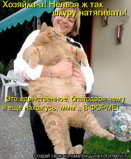 Хозяйка-а! Нельзя ж так шкуру натягивать! я ещё нахожусь, ммм... В ФОРМЕ! Это единственное, благодар... Котоматрица: Хозяйка-а! Нельзя ж так шкуру натягивать! я ещё нахожусь, ммм... В ФОРМЕ! Это единственное, благодаря чему