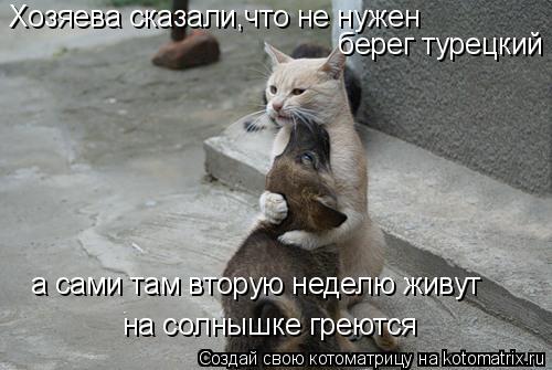 Хозяева сказали,что не нужен берег турецкий а сами там вторую неделю живут на солнышке греются... Котоматрица: Хозяева сказали,что не нужен берег турецкий а сами там вторую неделю живут на солнышке греются