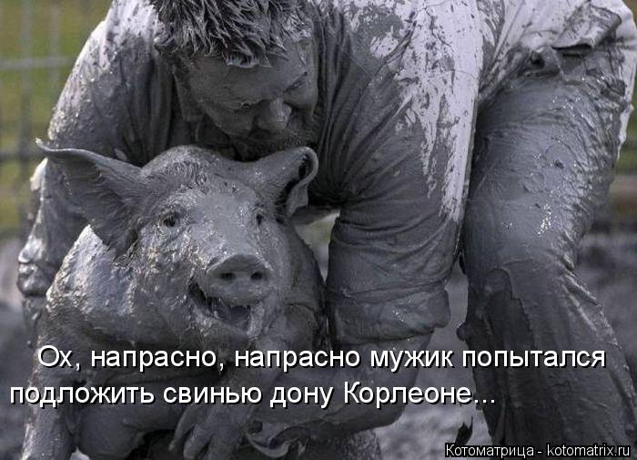 Ох, напрасно, напрасно мужик попытался подложить свинью дону Корлеоне...... Котоматрица: Ох, напрасно, напрасно мужик попытался подложить свинью дону Корлеоне...