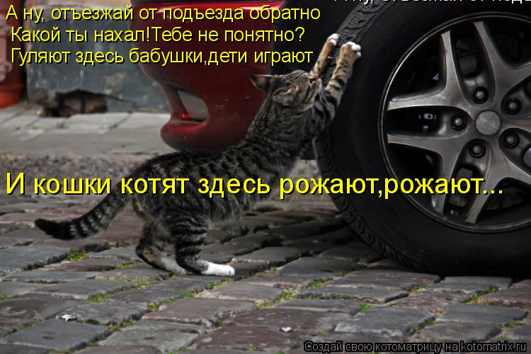 А ну, отъезжай от подъезда обратно А ну, отъезжай от подъезда обратно Какой ты нахал!Тебе не понятно?... Котоматрица: А ну, отъезжай от подъезда обратно А ну, отъезжай от подъезда обратно Какой ты нахал!Тебе не понятно? Гуляют здесь бабушки,дети играют И кошк