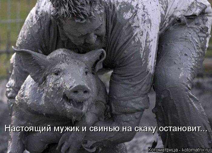 Настоящий мужик и свинью на скаку остановит...... Котоматрица: Настоящий мужик и свинью на скаку остановит...