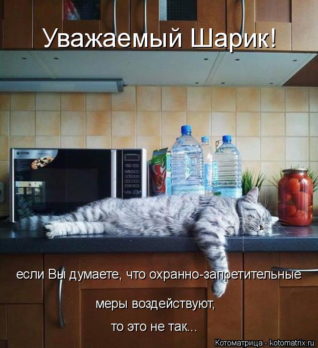Уважаемый Шарик! если Вы думаете, что охранно-запретительные меры воздействуют, то это не так...... Котоматрица: Уважаемый Шарик! если Вы думаете, что охранно-запретительные меры воздействуют, то это не так...