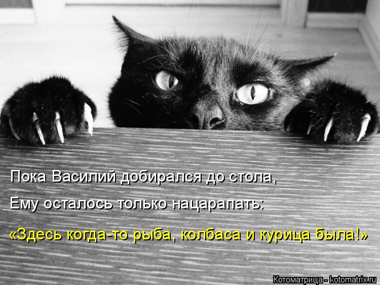 Пока Василий добирался до стола, Ему осталось только нацарапать: «Здесь когда-то рыба, колбаса и кури... Котоматрица: Пока Василий добирался до стола, Ему осталось только нацарапать: «Здесь когда-то рыба, колбаса и курица была!»