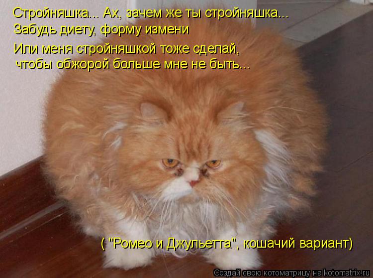 Стройняшка... Ах, зачем же ты стройняшка... Забудь диету, форму измени Или меня стройняшкой тоже сдел... Котоматрица: Стройняшка... Ах, зачем же ты стройняшка... Забудь диету, форму измени Или меня стройняшкой тоже сделай, чтобы обжорой больше мне не быть... ( "Р