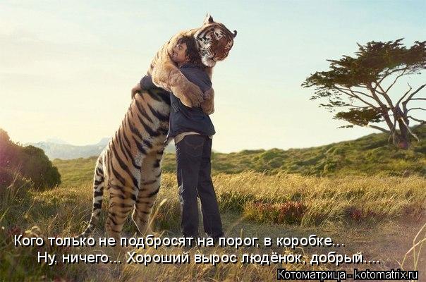 Ну, ничего... Хороший вырос людёнок, добрый.... Кого только не подбросят на порог, в коробке...... Котоматрица: Ну, ничего... Хороший вырос людёнок, добрый.... Кого только не подбросят на порог, в коробке...