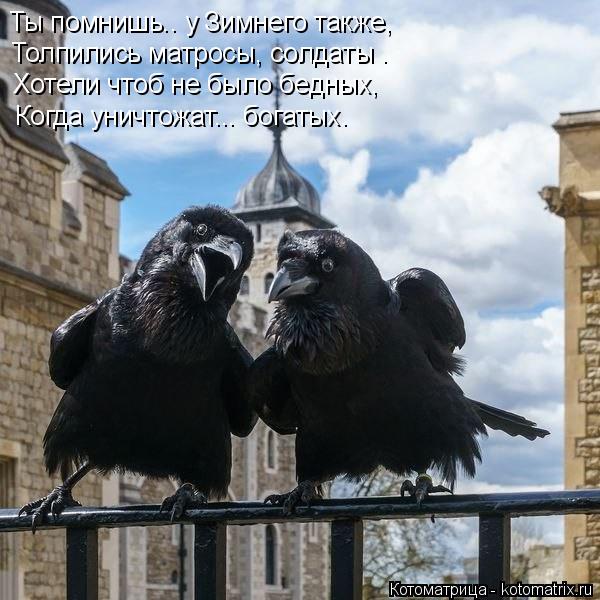 Ты помнишь.. у Зимнего также, Толпились матросы, солдаты . Хотели чтоб не было бедных, Когда уничтожа... Котоматрица: Ты помнишь.. у Зимнего также, Толпились матросы, солдаты . Хотели чтоб не было бедных, Когда уничтожат... богатых.