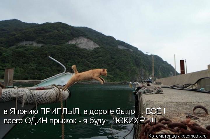 в Японию ПРИПЛЫЛ, в дороге было ... ВСЁ ! всего ОДИН прыжок - я буду... "ЮКИХЁ" !!!... Котоматрица: в Японию ПРИПЛЫЛ, в дороге было ... ВСЁ ! всего ОДИН прыжок - я буду... "ЮКИХЁ" !!!