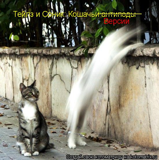 Тейлз и Соник: Кошачьи антиподы __________ Версии... Котоматрица: Тейлз и Соник: Кошачьи антиподы __________ Версии