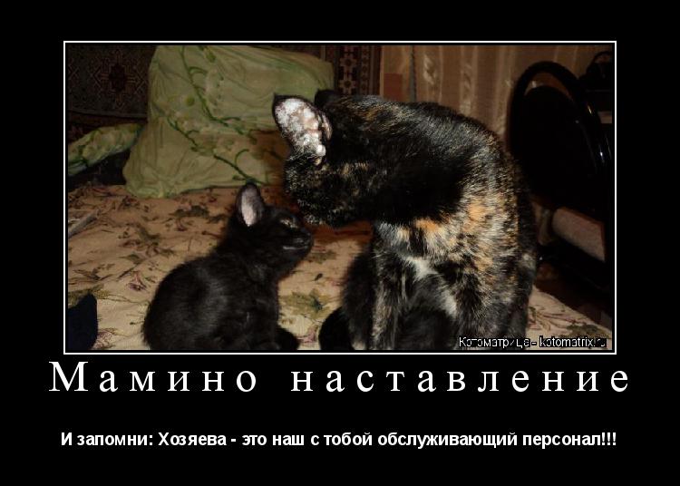 Мамино наставление И запомни: Хозяева - это наш с тобой обслуживающий персонал!!!... Котоматрица: Мамино наставление И запомни: Хозяева - это наш с тобой обслуживающий персонал!!!
