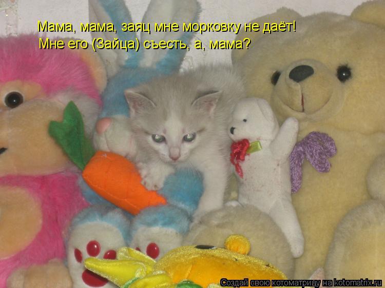 Мама, мама, заяц мне морковку не даёт! Мне его (Зайца) съесть, а, мама?... Котоматрица: Мама, мама, заяц мне морковку не даёт! Мне его (Зайца) съесть, а, мама?