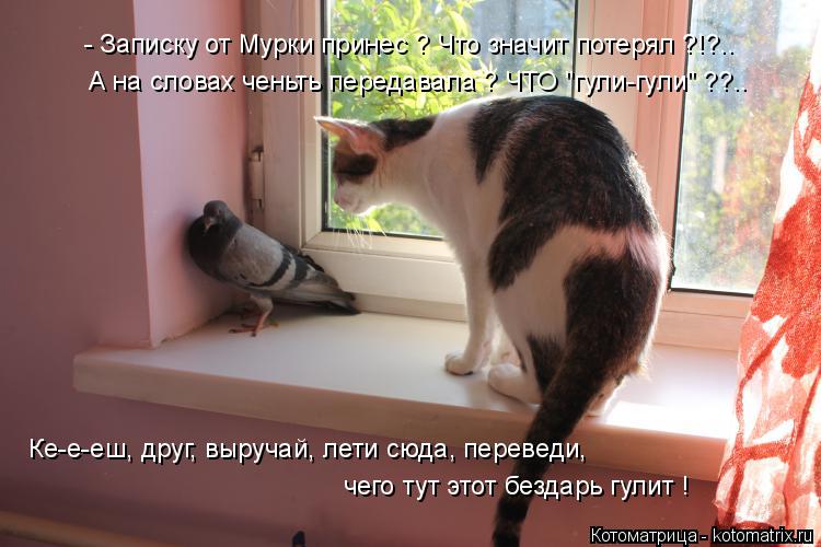 - Записку от Мурки принес ? Что значит потерял ?!?.. А на словах ченьть передавала ? ЧТО "гули-гули" ... Котоматрица: - Записку от Мурки принес ? Что значит потерял ?!?.. А на словах ченьть передавала ? ЧТО "гули-гули" ??.. Ке-е-еш, друг, выручай, лети сюда, переведи,