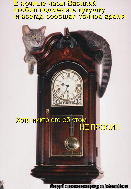В ночные часы Василий любил подменять кукушку и всегда сообщал точное время. Хотя никто его об этом Н... Котоматрица: В ночные часы Василий любил подменять кукушку и всегда сообщал точное время. Хотя никто его об этом НЕ ПРОСИЛ.