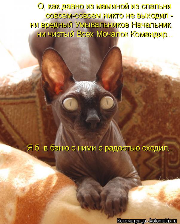 О, как давно из маминой из спальни совсем-совсем никто не выходил - ни вредный Умывальников Начальни... Котоматрица: О, как давно из маминой из спальни совсем-совсем никто не выходил - ни вредный Умывальников Начальник, ни чистый Всех Мочалок Командир... Я б