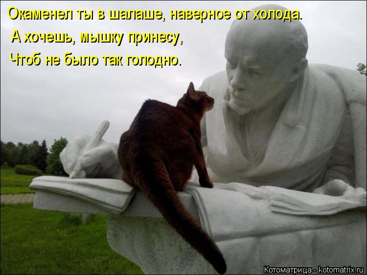 А хочешь, мышку принесу, Чтоб не было так голодно. Окаменел ты в шалаше, наверное от холода. А хочешь... Котоматрица: А хочешь, мышку принесу, Чтоб не было так голодно. Окаменел ты в шалаше, наверное от холода. А хочешь, мышку принесу,
