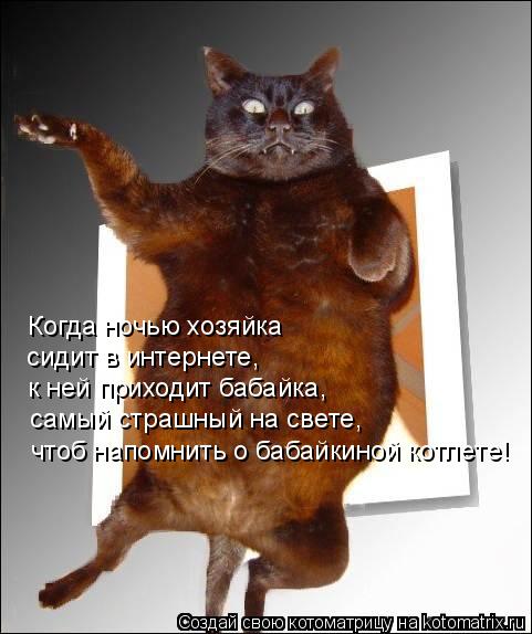 Когда ночью хозяйка сидит в интернете, к ней приходит бабайка, самый страшный на свете, чтоб напо... Котоматрица: Когда ночью хозяйка сидит в интернете, к ней приходит бабайка, самый страшный на свете, чтоб напомнить о бабайкиной котлете!