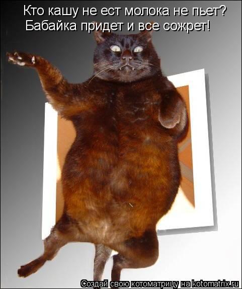 Кто кашу не ест молока не пьет? Бабайка придет и все сожрет!... Котоматрица: Кто кашу не ест молока не пьет? Бабайка придет и все сожрет!