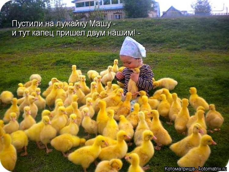 Пустили на лужайку Машу - и тут капец пришел двум нашим! -... Котоматрица: Пустили на лужайку Машу - и тут капец пришел двум нашим! -