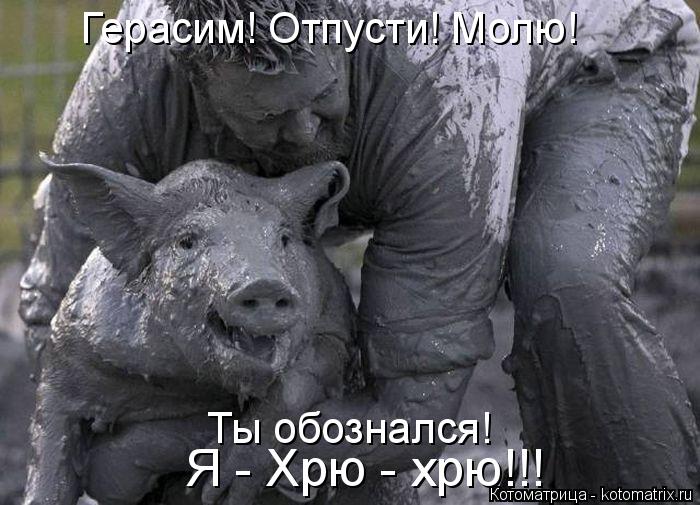 Герасим! Отпусти! Молю! Ты обознался! Я - Хрю - хрю!!!... Котоматрица: Герасим! Отпусти! Молю! Ты обознался! Я - Хрю - хрю!!!