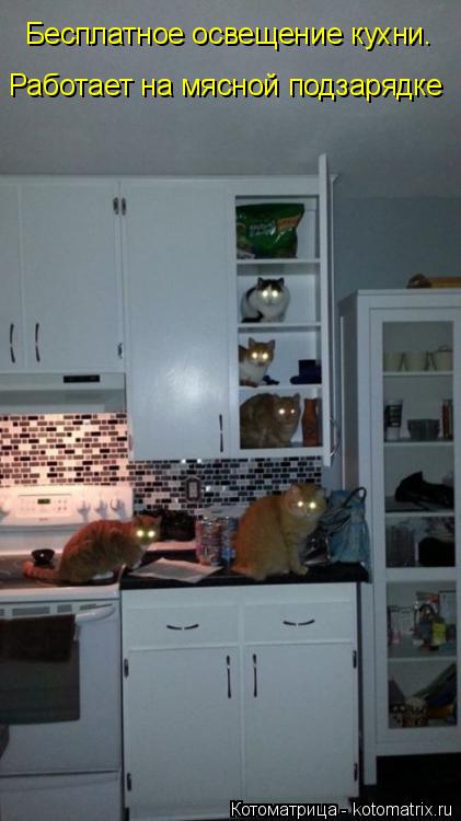 Бесплатное освещение кухни. Работает на мясной подзарядке... Котоматрица: Бесплатное освещение кухни. Работает на мясной подзарядке