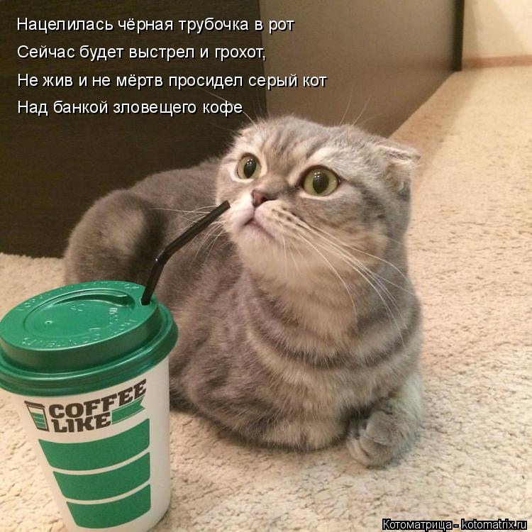 Нацелилась чёрная трубочка в рот Сейчас будет выстрел и грохот, Не жив и не мёртв просидел серый кот ... Котоматрица: Нацелилась чёрная трубочка в рот Сейчас будет выстрел и грохот, Не жив и не мёртв просидел серый кот Над банкой зловещего кофе