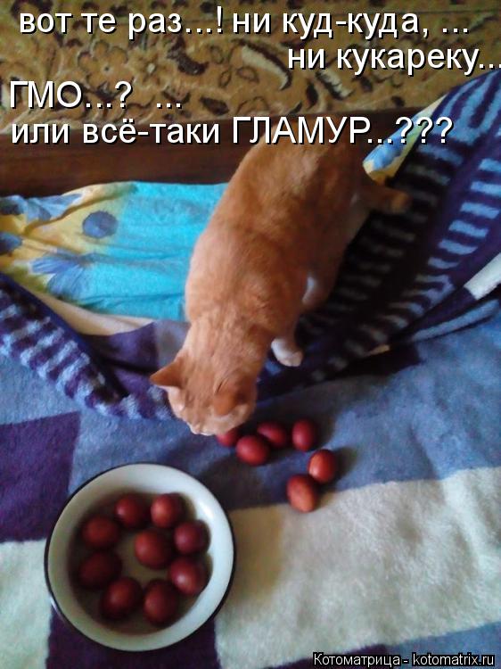 вот те раз...! ни куд-куда, ... ни кукареку... ... ГМО...? ... или всё-таки ГЛАМУР...???... Котоматрица: вот те раз...! ни куд-куда, ... ни кукареку... ... ГМО...? ... или всё-таки ГЛАМУР...???