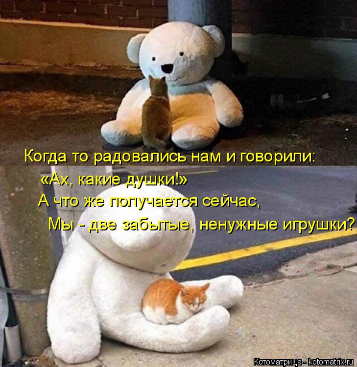 Когда то радовались нам и говорили: «Ах, какие душки!» А что же получается сейчас, Мы - две забытые, ... Котоматрица: Когда то радовались нам и говорили: «Ах, какие душки!» А что же получается сейчас, Мы - две забытые, ненужные игрушки?