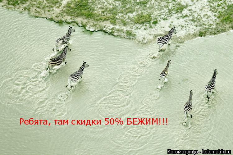Ребята, там скидки 50% БЕЖИМ!!!... Котоматрица: Ребята, там скидки 50% БЕЖИМ!!!