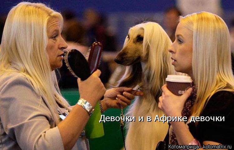 Девочки и в Африке девочки... Котоматрица: Девочки и в Африке девочки