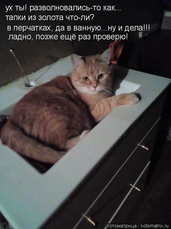 ух ты! разволновались-то как... тапки из золота что-ли? в перчатках, да в ванную...ну и дела!!! лад... Котоматрица: ух ты! разволновались-то как... тапки из золота что-ли? в перчатках, да в ванную...ну и дела!!! ладно, позже ещё раз проверю!
