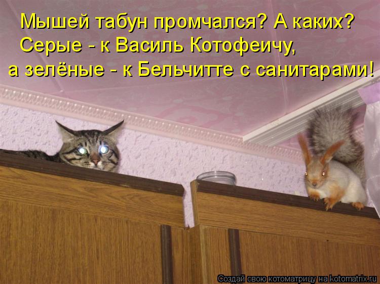 Мышей табун промчался? А каких? Серые - к Василь Котофеичу, а зелёные - к Бельчитте с санитарами!... Котоматрица: Мышей табун промчался? А каких? Серые - к Василь Котофеичу, а зелёные - к Бельчитте с санитарами!