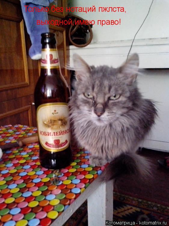 Только без нотаций пжлста, выходной,имею право!... Котоматрица: Только без нотаций пжлста, выходной,имею право!