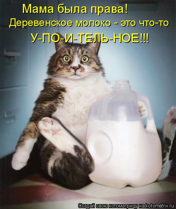 Мама была права! Деревенское молоко - это что-то У-ПО-И-ТЕЛЬ-НОЕ!!!... Котоматрица: Мама была права! Деревенское молоко - это что-то У-ПО-И-ТЕЛЬ-НОЕ!!!