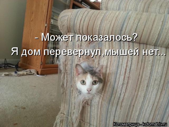 Котоматрица: - Может показалось? Я дом перевернул,мышей нет...