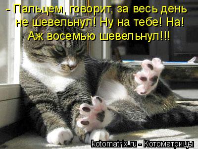 - Пальцем, говорит, за весь день не шевельнул! Ну на тебе! На! Аж восемью шевельнул!!!... Котоматрица: - Пальцем, говорит, за весь день не шевельнул! Ну на тебе! На! Аж восемью шевельнул!!!