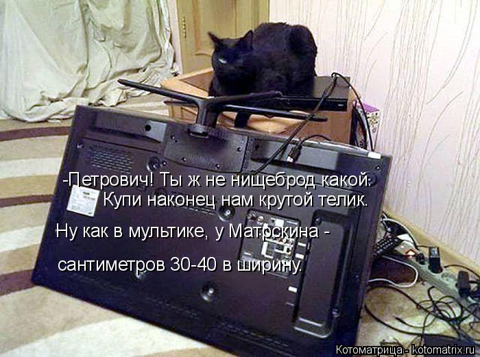 -Петрович! Ты ж не нищеброд какой. Купи наконец нам крутой телик. Ну как в мультике, у Матрскина - са... Котоматрица: -Петрович! Ты ж не нищеброд какой. Купи наконец нам крутой телик. Ну как в мультике, у Матрскина - сантиметров 30-40 в ширину.