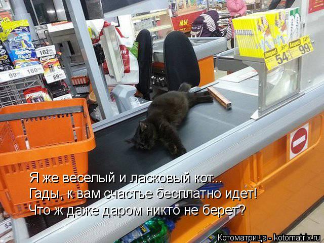 Я же веселый и ласковый кот... Гады, к вам счастье бесплатно идет! Что ж даже даром никто не берет?... Котоматрица: Я же веселый и ласковый кот... Гады, к вам счастье бесплатно идет! Что ж даже даром никто не берет?