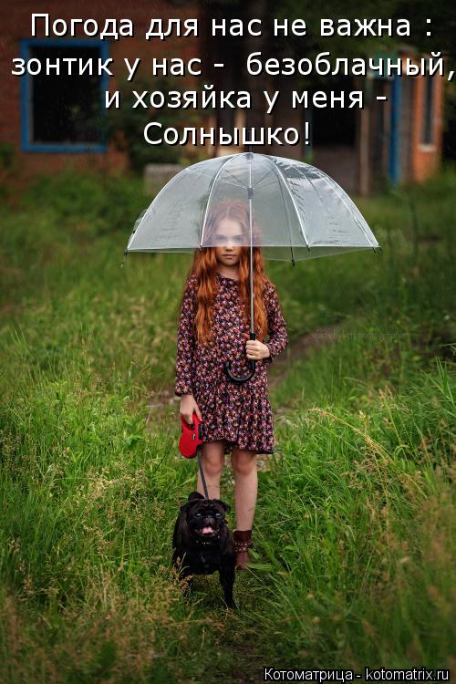 Погода для нас не важна : зонтик у нас - безоблачный, и хозяйка у меня - Солнышко!... Котоматрица: Погода для нас не важна : зонтик у нас - безоблачный, и хозяйка у меня - Солнышко!