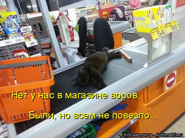 Нет у нас в магазине воров, Были, но всем не повезло...... Котоматрица: Нет у нас в магазине воров, Были, но всем не повезло...