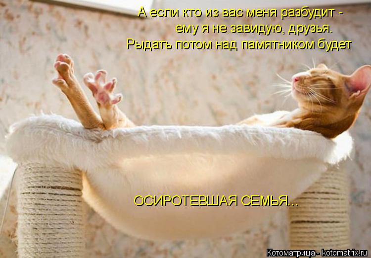 А если кто из вас меня разбудит - ему я не завидую, друзья. Рыдать потом над памятником будет ОСИРО... Котоматрица: А если кто из вас меня разбудит - ему я не завидую, друзья. Рыдать потом над памятником будет ОСИРОТЕВШАЯ СЕМЬЯ...