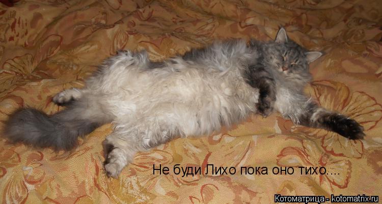 Не буди Лихо пока оно тихо....... Котоматрица: Не буди Лихо пока оно тихо....
