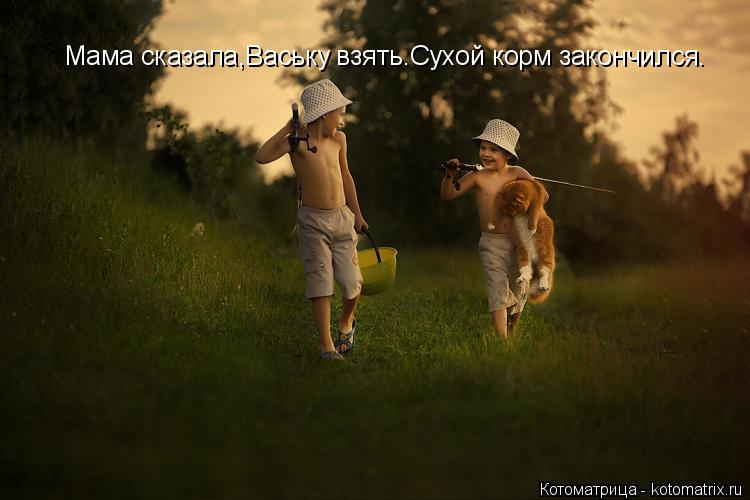 Мама сказала,Ваську взять.Сухой корм закончился.... Котоматрица: Мама сказала,Ваську взять.Сухой корм закончился.
