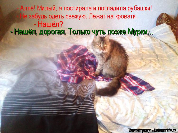 - Аллё! Милый, я постирала и погладила рубашки! - Не забудь одеть свежую. Лежат на кровати. - Нашёл? ... Котоматрица: - Аллё! Милый, я постирала и погладила рубашки! - Не забудь одеть свежую. Лежат на кровати. - Нашёл? - Нашёл, дорогая. Только чуть позже Мурки...