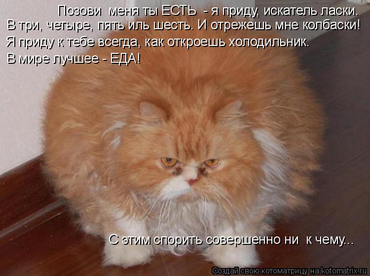 Позови меня ты ЕСТЬ - я приду, искатель ласки. В три, четыре, пять иль шесть. И отрежешь мне колбас... Котоматрица: Позови меня ты ЕСТЬ - я приду, искатель ласки. В три, четыре, пять иль шесть. И отрежешь мне колбаски! Я приду к тебе всегда, как откроешь холо